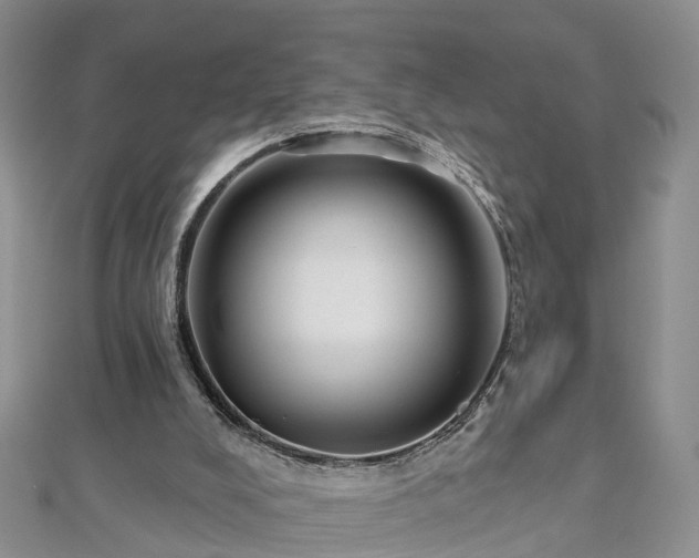 X0000112480008200908241304