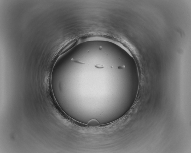 X0000112480009200908241304