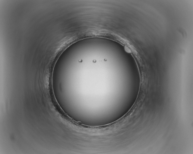 X0000112480010200908241304