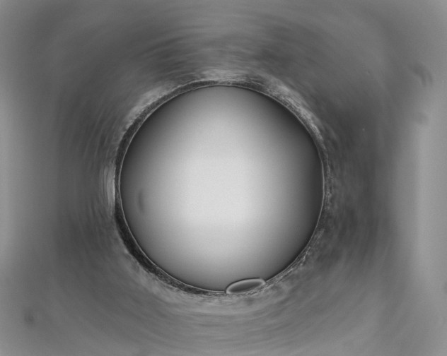 X0000112480011200908241304