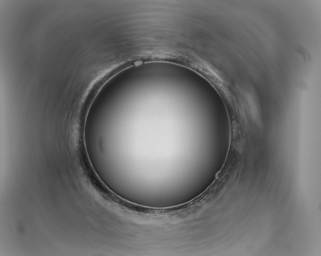 X0000112480012200908241304