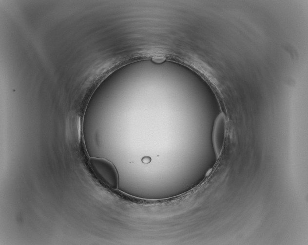 X0000112480013200908241304