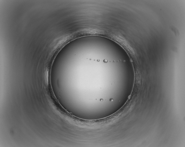 X0000112480014200908241304