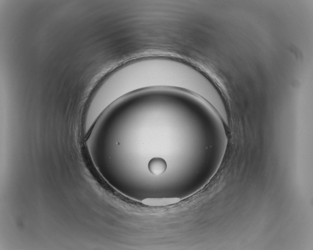 X0000112480015200908241304