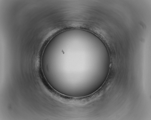 X0000112480016200908241304