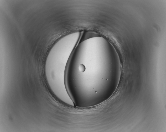 X0000112480017200908241304