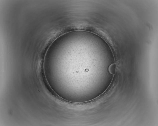 X0000112480018200908241304