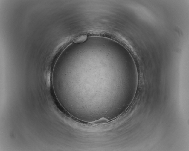 X0000112480019200908241304