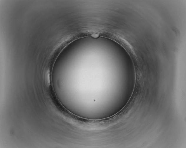 X0000112480020200908241304