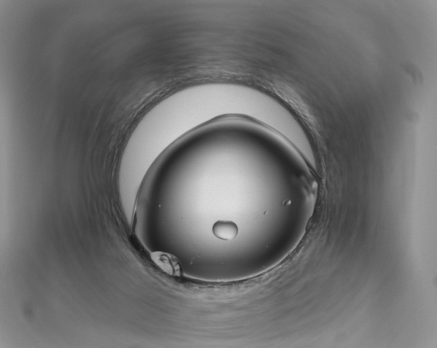 X0000112480021200908241304