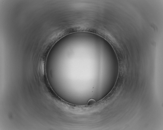 X0000112480022200908241304