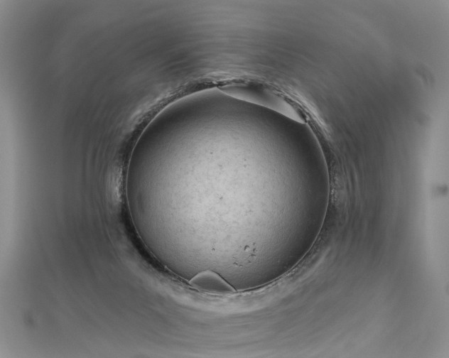 X0000112480023200908241304