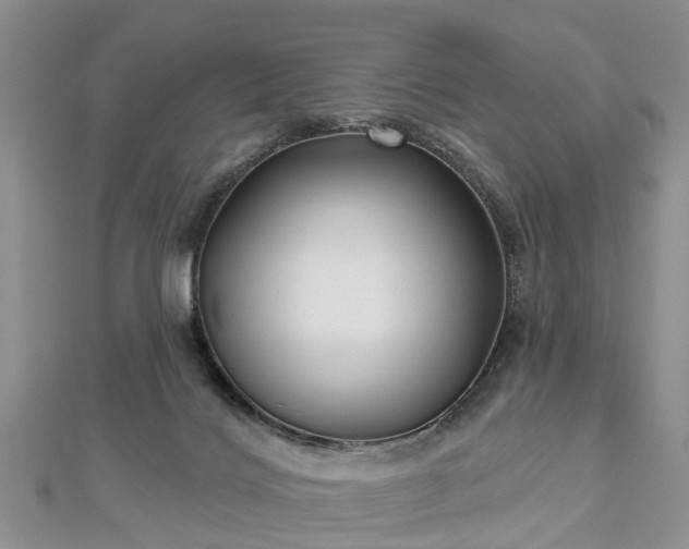 X0000112480028200908241304