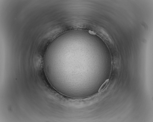 X0000112480029200908241304