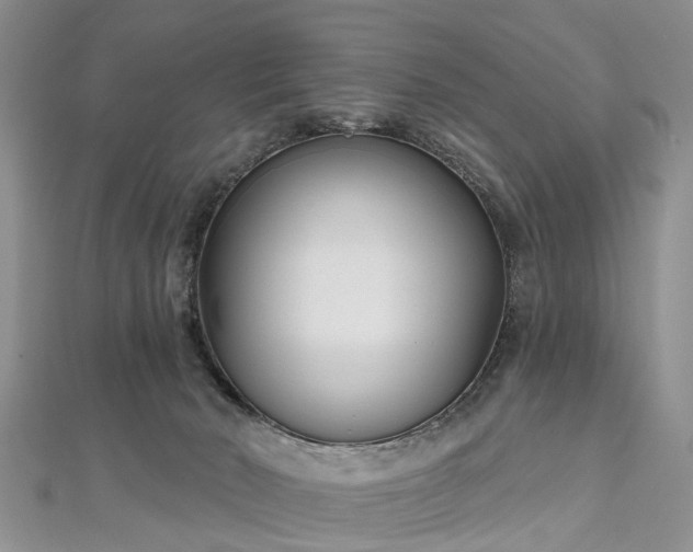 X0000112480030200908241304