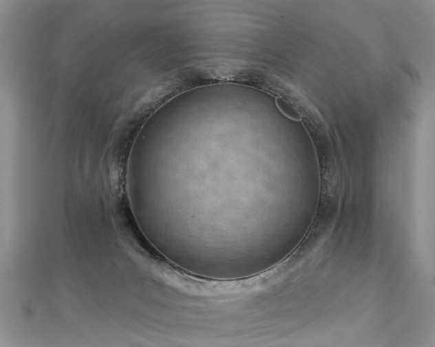 X0000112480031200908241304