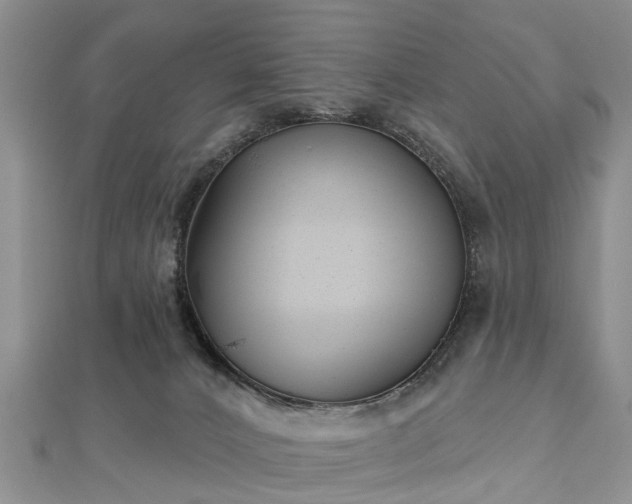 X0000112480032200908241304