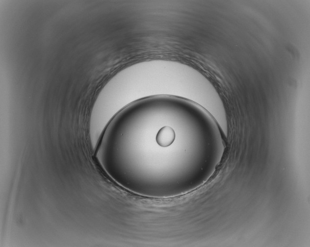 X0000112480033200908241304