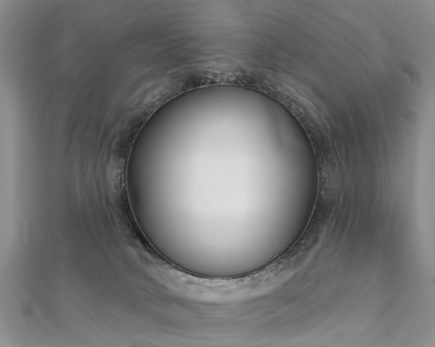 X0000112480034200908241304