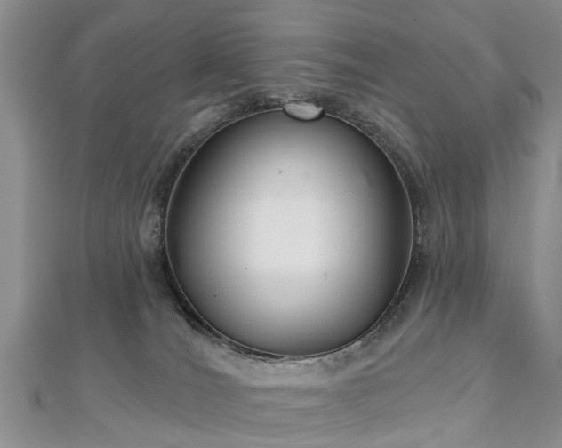 X0000112480036200908241303