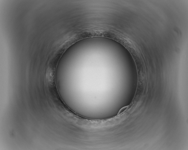 X0000112480037200908241303