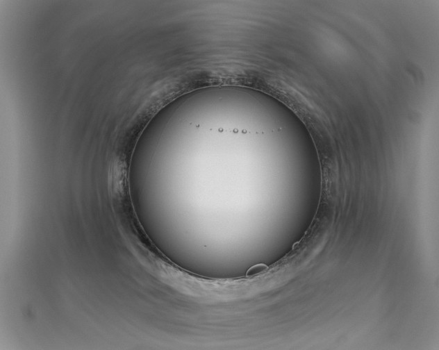 X0000112480038200908241303