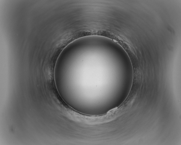 X0000112480039200908241303