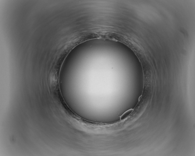 X0000112480040200908241303