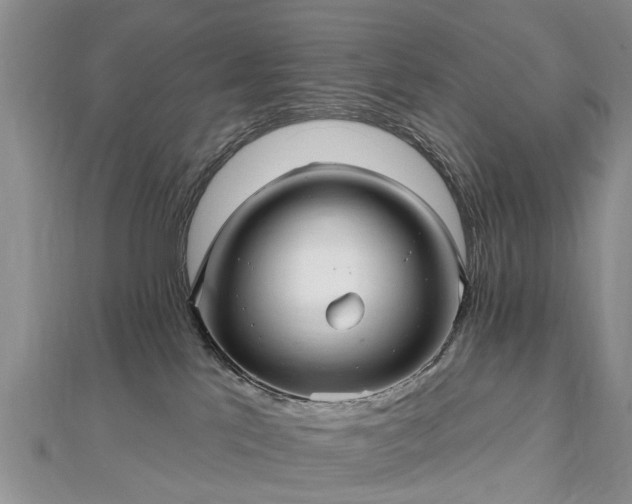 X0000112480041200908241303