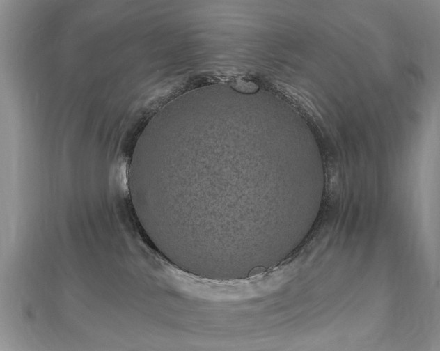 X0000112480042200908241303