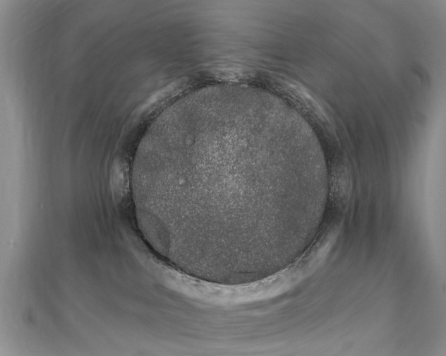 X0000112480043200908241303