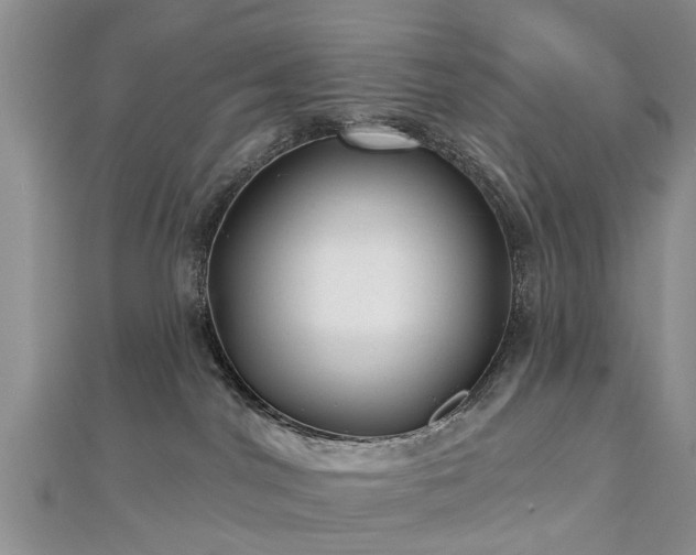 X0000112480044200908241303