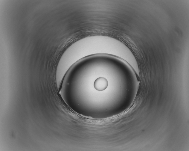 X0000112480045200908241303