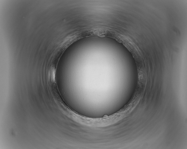 X0000112480046200908241303