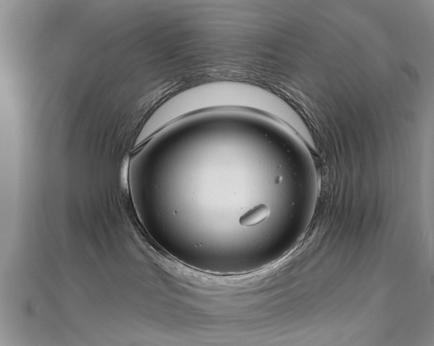 X0000112480047200908241303