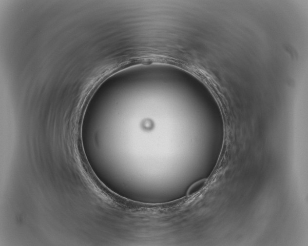 X0000112480049200908241303