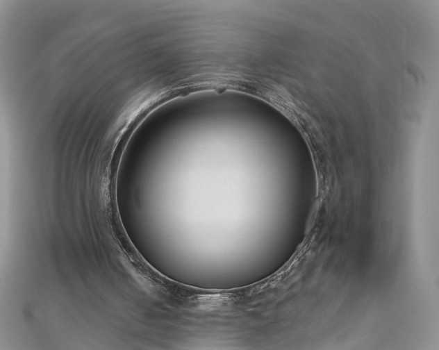 X0000112480050200908241303