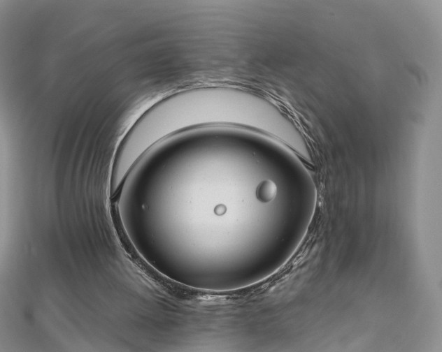 X0000112480052200908241303