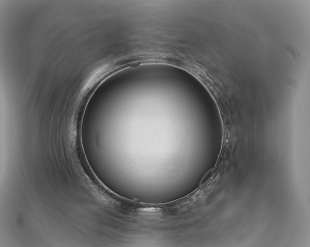 X0000112480053200908241303