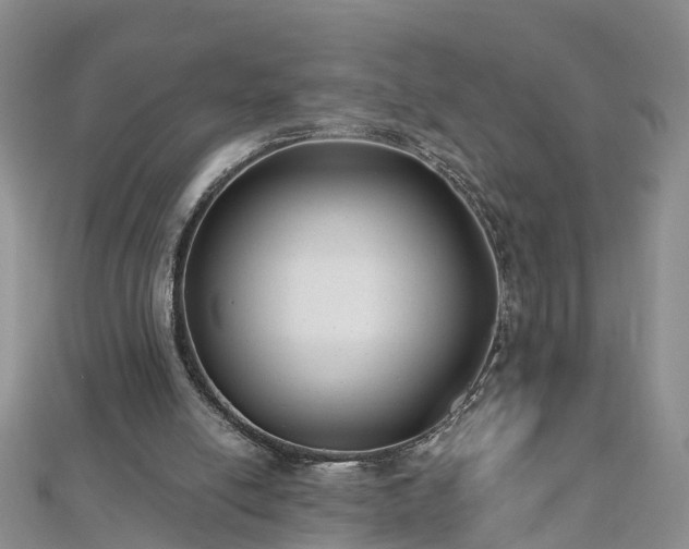 X0000112480054200908241303