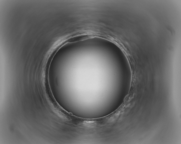 X0000112480055200908241303