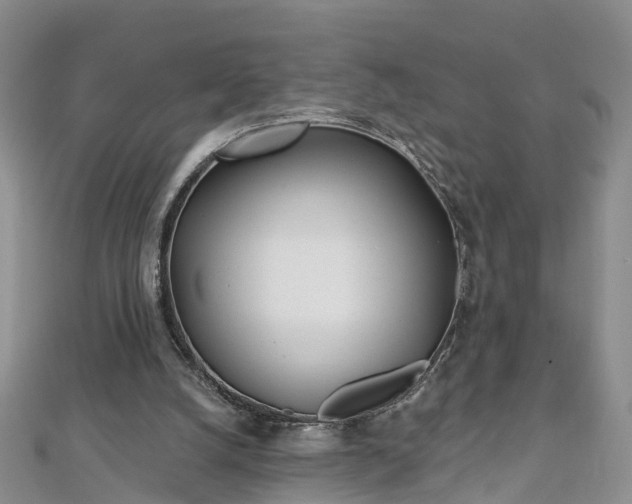 X0000112480056200908241303