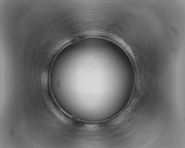 X0000112480057200908241303