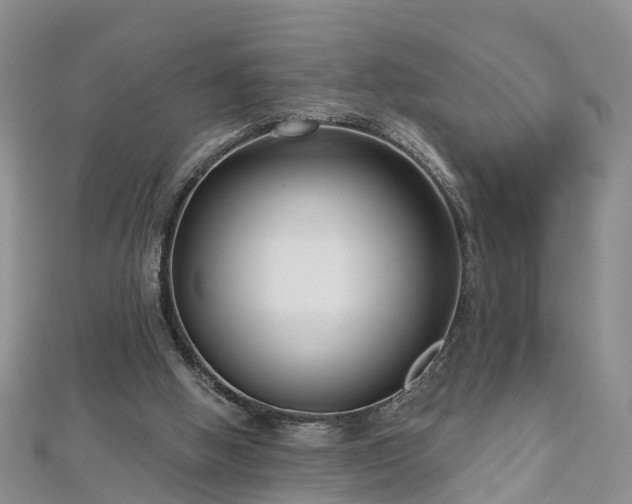 X0000112480058200908241303