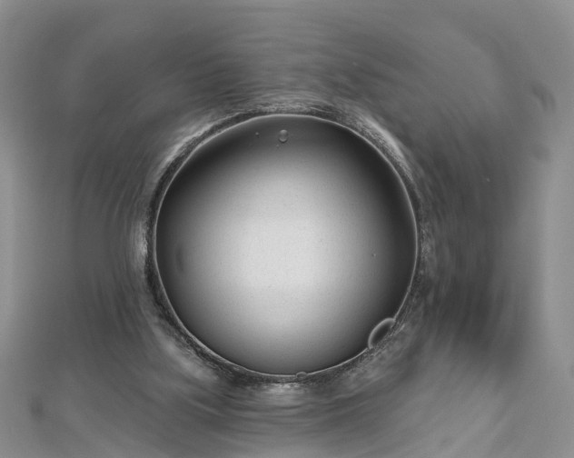 X0000112480059200908241303