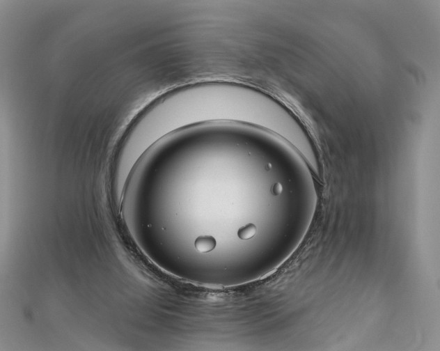 X0000112480060200908241303