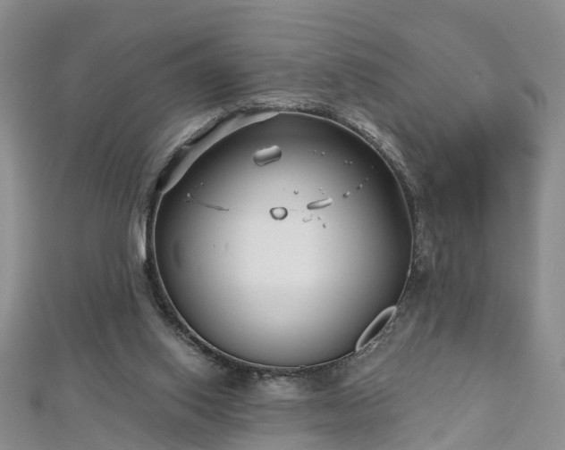 X0000112480062200908241303