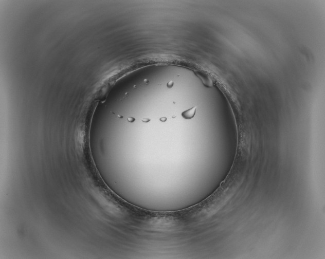 X0000112480063200908241303