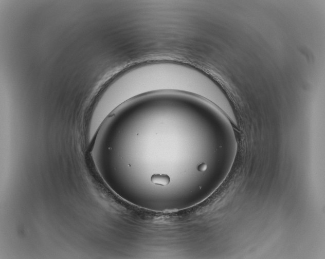 X0000112480064200908241303