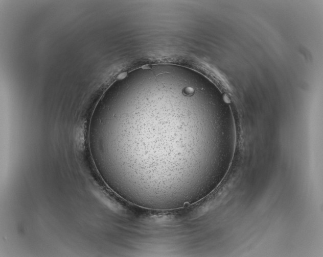 X0000112480065200908241303